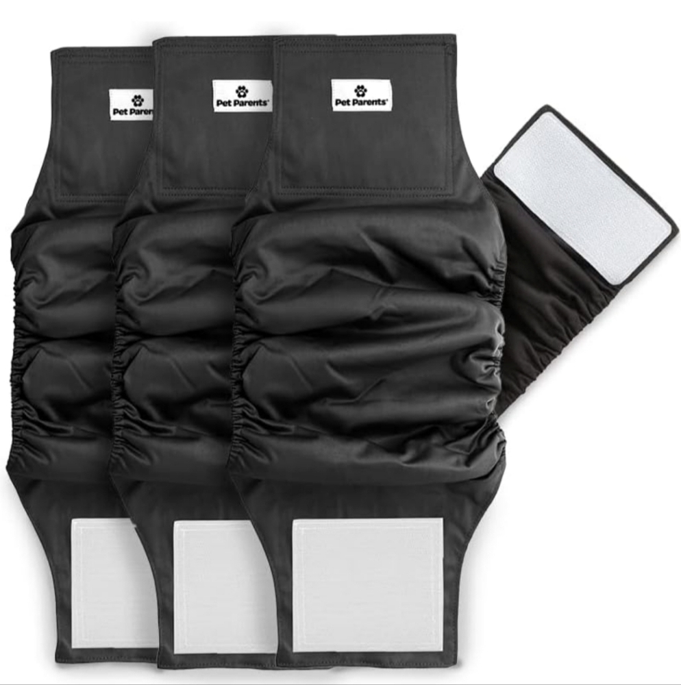 Pet Parents Belly Bands Black Med
